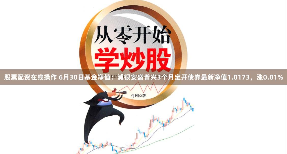 股票配资在线操作 6月30日基金净值：浦银安盛普兴3个月定开债券最新净值1.0173，涨0.01%