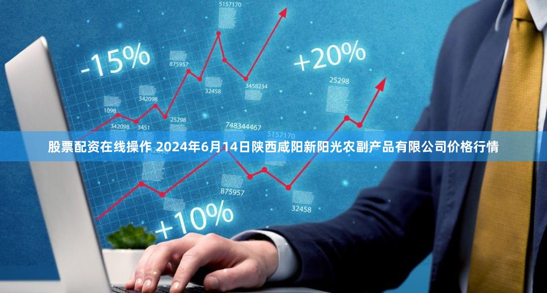 股票配资在线操作 2024年6月14日陕西咸阳新阳光农副产品有限公司价格行情