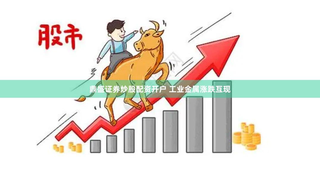鼎盛证券炒股配资开户 工业金属涨跌互现