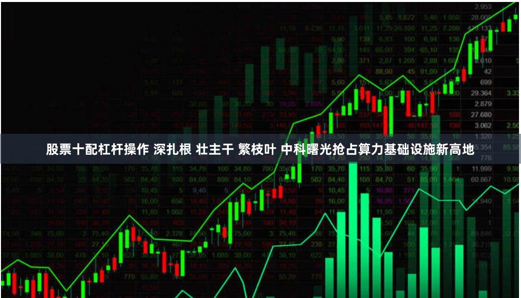 股票十配杠杆操作 深扎根 壮主干 繁枝叶 中科曙光抢占算力基础设施新高地