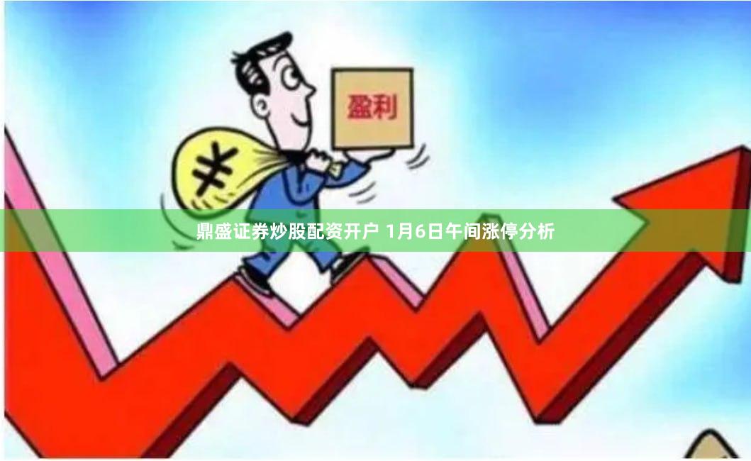 鼎盛证券炒股配资开户 1月6日午间涨停分析