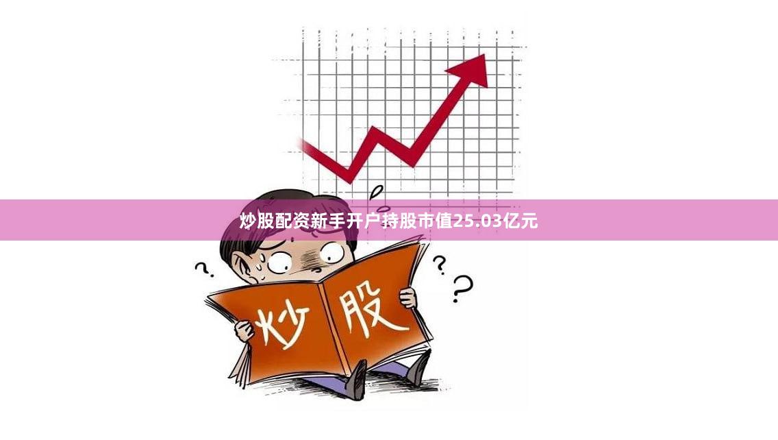 炒股配资新手开户持股市值25.03亿元